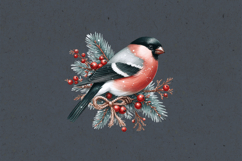 Winter Bird clipart / 3 PNG / sublimation design Product Image 3