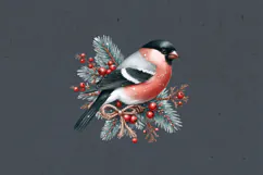 Winter Bird clipart / 3 PNG / sublimation design Product Image 3