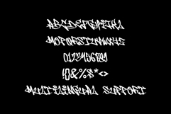 Wild Blitz |Monoline Graffiti Webfont Product Image 2