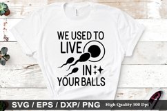 We used to live in your balls SVG - Father&#039;s Day De Product Image 1