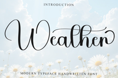 Weather Product Image 1