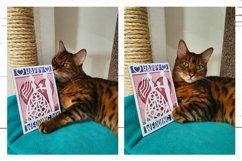 Wedding Day Card SVG| Happy Wedding Day Confetti Shaker Card Product Image 9