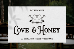 Love And Honey | Elegant Serif Font Product Image 1