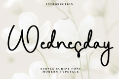 Wednesday Product Image 1