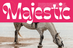 Weekly Sunday - Modern Display Serif Font Product Image 11