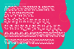 Weekly Sunday - Modern Display Serif Font Product Image 19