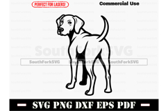 Weimaraner Dog Butt SVG PNG DXF EPS PDF Product Image 1