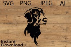 Weimaraner dog/Dog Svg/Png/Jpg/Ai/Vector purebred breed/Pet Product Image 1