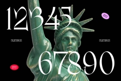 Wekfis Batch - Display Serif Typeface Product Image 5