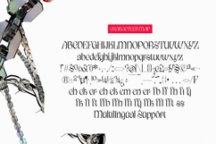 Wekfis Batch - Display Serif Typeface Product Image 6