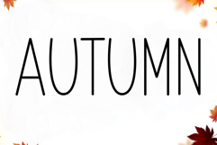 Welcome January Product Image 7