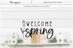 Welcome Spring | Spring Home Decor svg | welcome sign Product Image 3