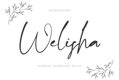 Beautiful Font &amp; Graphics Bundle Product Image 24