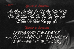 Weloghan - Handwritten Script Font Product Image 11