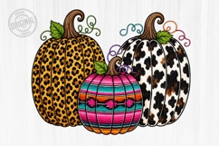 A Seasonal Sublimation PNG Bundle Fall Halloween Christmas Product Image 21