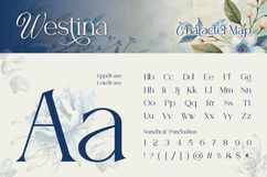 Westina Product Image 2