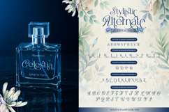 Westina Product Image 6