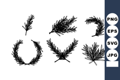 Black Spruce Pine Branches in Vector Illustration for Graphi Product Image 1