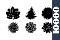 Six Black Silhouette Tree and Plant Leaf Shapes Vector Illus Product Image 1