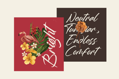 Whadrat Chothelis Modern Brush Font Type Product Image 8
