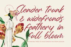 Whadrat Chothelis Modern Brush Font Type Product Image 12