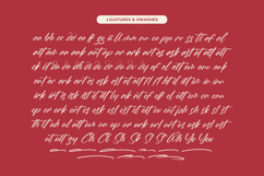 Whadrat Chothelis Modern Brush Font Type Product Image 17