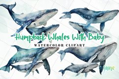 Humpback Whales With Baby Watercolor Sublimation Clipart Product Image 1