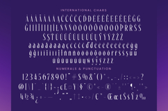 Wharfkin Frostfire - Modern Serif Display Product Image 18