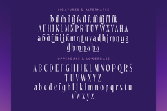 Wharfkin Frostfire - Modern Serif Display Product Image 19