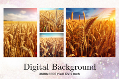 Field of Wheat Background Wallpaper Wheat Field View Wallart Product Image 1