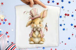 Whimsical 4th Of July Bunny Clipart Product Image 2