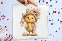 Whimsical 4th Of July Chick Clipart Product Image 2