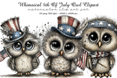 Whimsical 4th Of July Owl Clipart Product Image 1