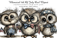 Whimsical 4th Of July Owl Clipart Product Image 1