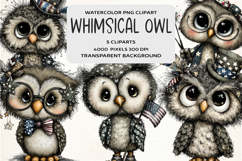 Whimsical 4th Of July Owl Clipart Product Image 1