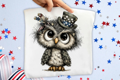 Whimsical 4th Of July Owl Clipart Product Image 2