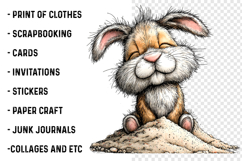 Whimsical Beach Animals Clipart Product Image 2