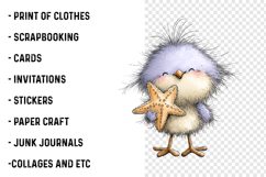 Whimsical Beach Birds Clipart Product Image 2