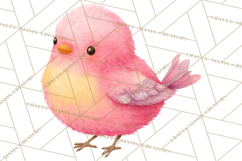 Pastel Bird PNG, Whimsical Bird Art, Fluffy Bird Clipart Product Image 5