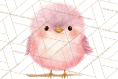Pastel Bird PNG, Whimsical Bird Art, Fluffy Bird Clipart Product Image 4