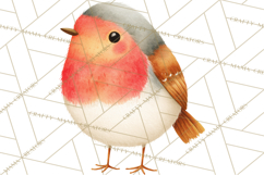 Pastel Bird PNG, Whimsical Bird Art, Fluffy Bird Clipart Product Image 3