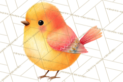 Pastel Bird PNG, Whimsical Bird Art, Fluffy Bird Clipart Product Image 2