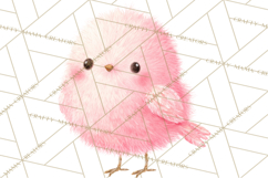 Pastel Bird PNG, Whimsical Bird Art, Fluffy Bird Clipart Product Image 3