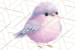Pastel Bird PNG, Whimsical Bird Art, Fluffy Bird Clipart Product Image 2