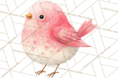 Pastel Bird PNG, Whimsical Bird Art, Fluffy Bird Clipart Product Image 4
