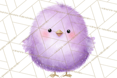 Pastel Bird PNG, Whimsical Bird Art, Fluffy Bird Clipart Product Image 5