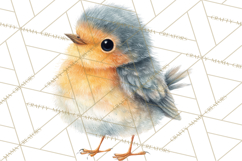 Pastel Bird PNG, Whimsical Bird Art, Fluffy Bird Clipart Product Image 4