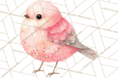 Pastel Bird PNG, Whimsical Bird Art, Fluffy Bird Clipart Product Image 4