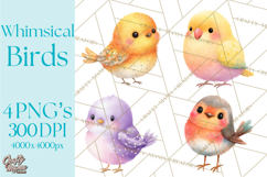Pastel Bird PNG, Whimsical Bird Art, Fluffy Bird Clipart Product Image 1