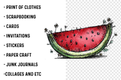 Whimsical Boho Watermelon Clipart Product Image 2